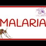 Ensayo sobre la malaria