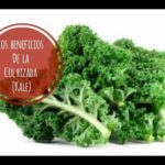 Kale lacinato nutrición