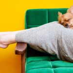 Artritis psoriásica y mascotas: beneficios y consideraciones