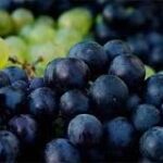 Negras Uvas, ¡Un Delicioso Regalo de la Naturaleza!